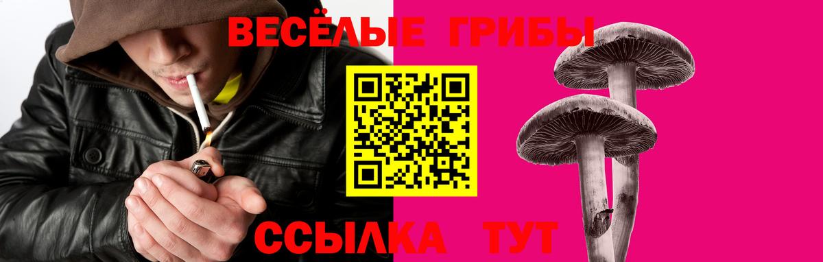 Псилоцибиновые грибы ЛСД  Вход с VPN  Курчалой  Псилоцибиновые грибы мицелий 