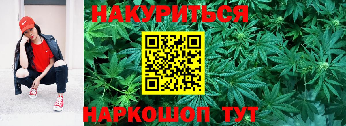 Курчалой  Бошки Шишки OG Kush  Вход с VPN  Каннабис Ganja  Марихуана план 